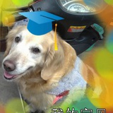 小郭郭