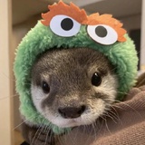 piu