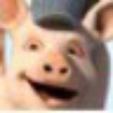 让梦冬眠