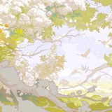 星辰欧巴