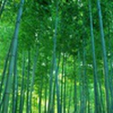 一川河沙
