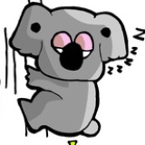 小卡西