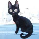 Camille
