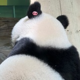 改个好听的名字