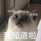 一一