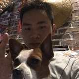 忌光的猫