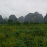 yuanyuan147