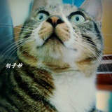 丑人