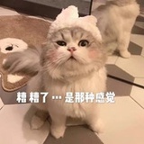 猫儿