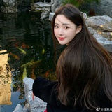 是讲不是将