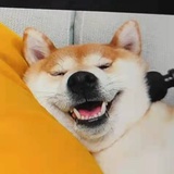 阿薯