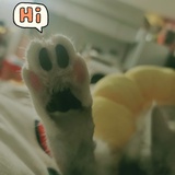 眠眠入睡
