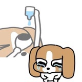 mɒmo