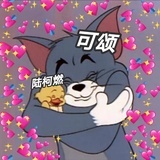 猫咪kk