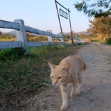 不开心就背单词