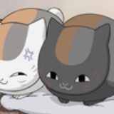 喵~\(·ω·`)o