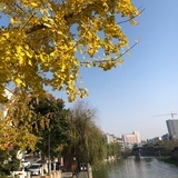 鸿枫