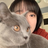 惜霜蟾照夜云天