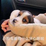 Gaogao