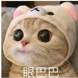 染发的自由才