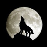 firedirewolf