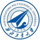 阳光的种子