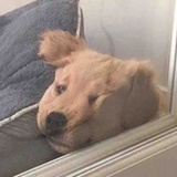 瘦不拉叽