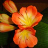 程程201208