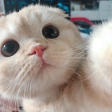 Kiki