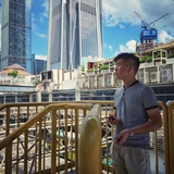 豚