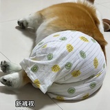 兔几