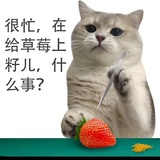 杨枝曾听雨