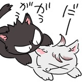 迦音