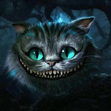 猫好好