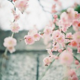 怎唱清风逍遥调