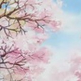 柴柴