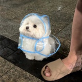 卡