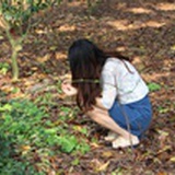 水蜜桃