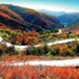 我心飞翔