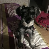 大锅小碗