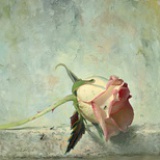 翠花花