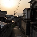 黎那个珍