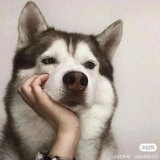 西瓜