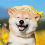 clispzz