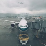 双蛋瓦斯