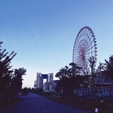 雀桑