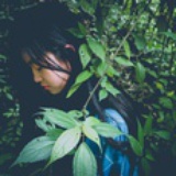 Sylvia Ning 