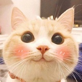 大凡