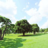 罐你只鸣