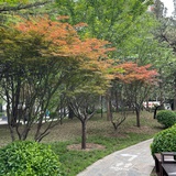 那谁谁